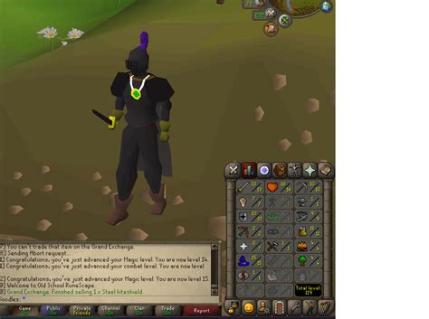 12 total hours rate the build : r/osrs