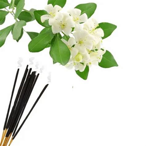 Bamboo And Charcoal Black Mogra Incense Stick For Religious At Best