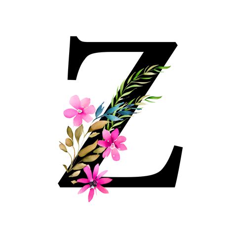 Free Transparent Floral Alphabet Illustration Letter Z Png Basket