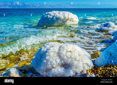 The Shore Of Dead Sea With The Stones Covered With Salt Crystals Ein