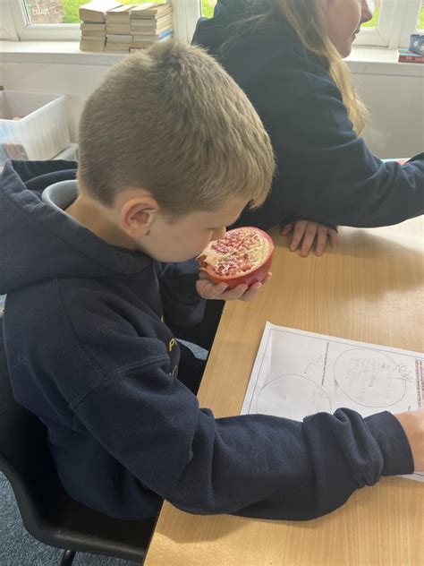 Y6 Reading Aston Lodge Primary School