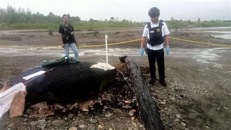 Kasus Dugaan Pembunuhan Di Yahukimo Papua Pegunungan Polisi Periksa