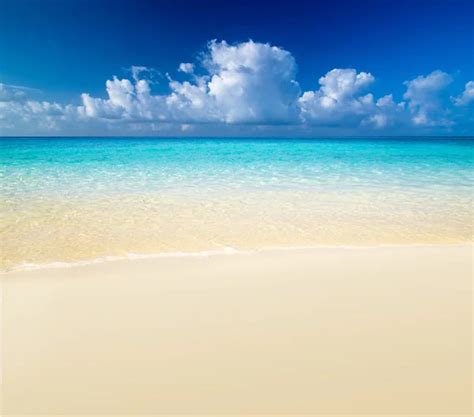 Sand of beach caribbean sea — Stock Photo © Iakov #4493439