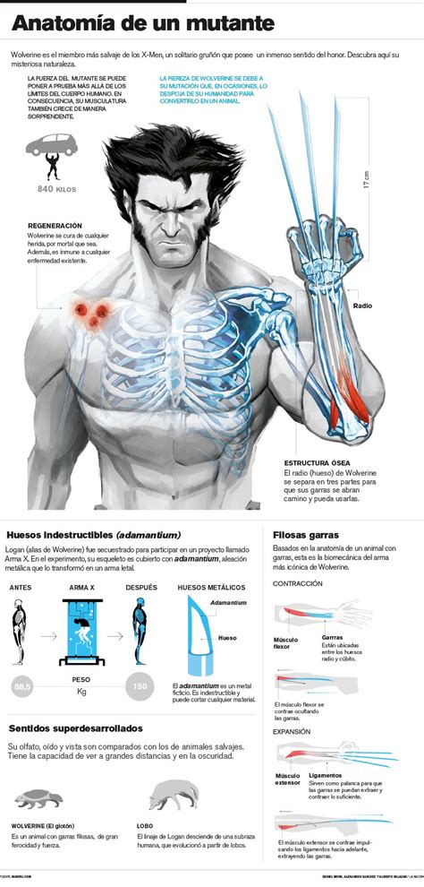 X Men Can Wolverine Move His Hands Up And Down While His Claws Are