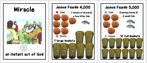 Jesus Feeds The 4000 And The 5000 Bible Fun For Kids
