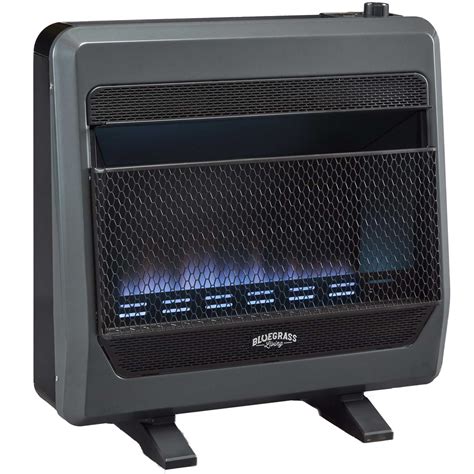 Bluegrass Living 30000 Btu Wall Or Floor Mount Indoor Liquid Propane Vent Free Convection Heater