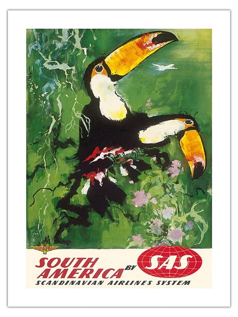 South America Tocu Toucans Sas Scandinavian Airlines System