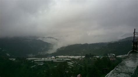 Chail Wildlife Sanctuary - 2020 All You Need to Know BEFORE You Go (with Photos) - Tripadvisor