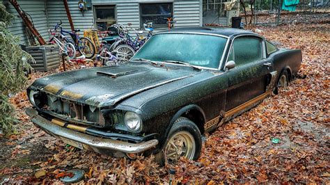 Rare Mustang Shelby Gt H Rental Car Found Rotting In Yard