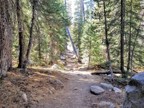 Elizabeth Lake Updated January 2025 12 Photos Yosemite National