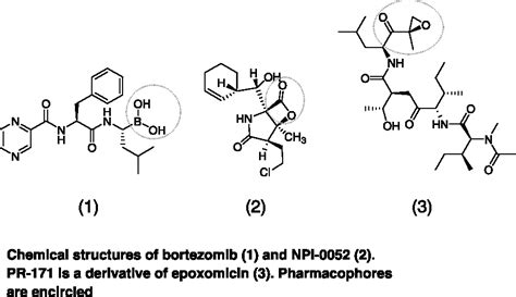 Figure 1 from Proteasome inhibitor drugs on the rise. | Semantic Scholar