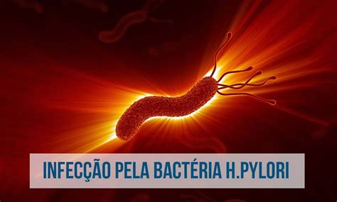 Infec Es Por Helicobacter Pylori O Que Voc Precisa Saber Dr