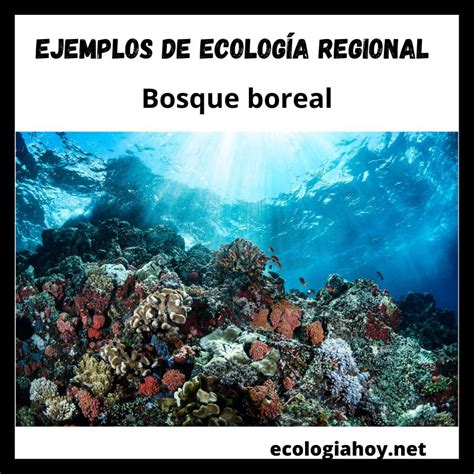 Ecología Regional Definiciones Tipos Ejemplos9 Ecología Hoy