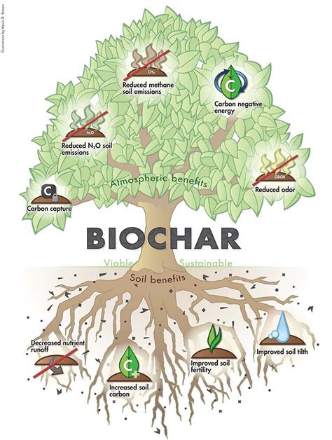 Biochar What Is It And How Can It Save You Money Water And Time