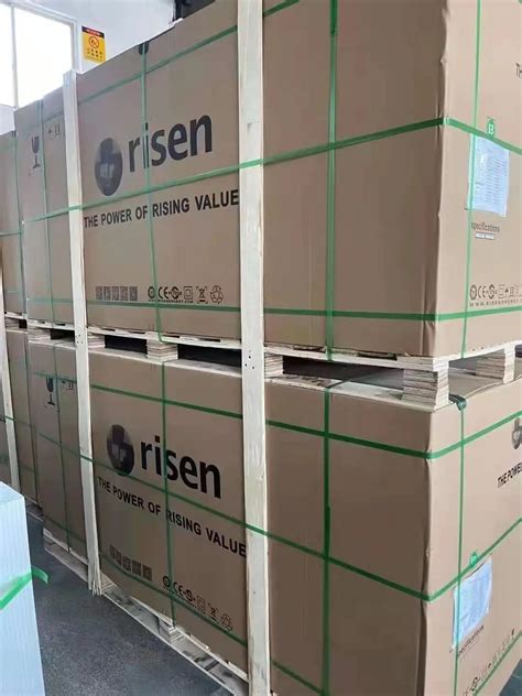 Risen Solar Rsm110 8 535bmdg 560bmdg High Performance Bifacial Perc