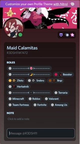 Beta Feature Custom Profile Theme Colors Rdiscordapp