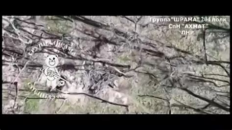 Группа "ШРАМА" 204 полк СпН «АХМАТ» ЛНР Красно-Лиманское направление ...