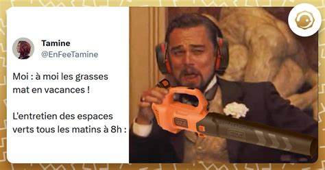 Top Des Meilleurs Tweets Sur Les Grasses Matin Es Twog