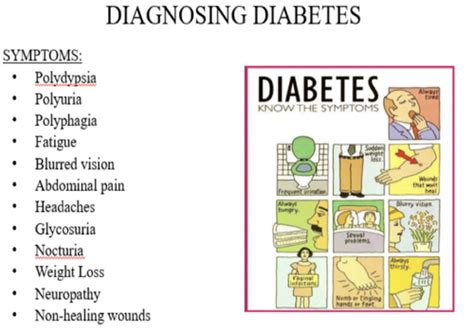 Diabetes Mellitus Flashcards Quizlet