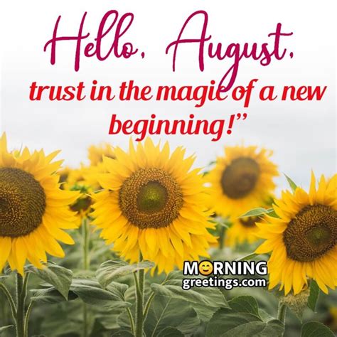 August Morning Quotes Wishes Morning Greetings