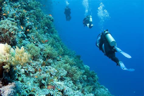 Kenali Introductory Diving Dan Lokasi Populer Untuk Melakukannya