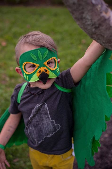 Falcon Costume Green Falcon Blue Falcon Wild Kratts Gift - Etsy