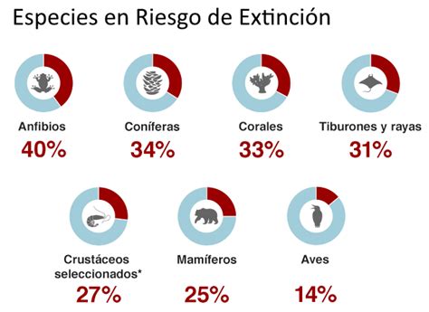 La Tierra Qué ha Cambiado en 25 Años Clases