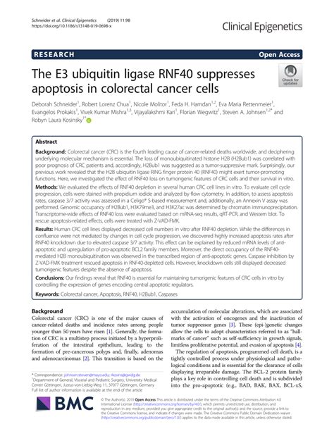 Pdf The E Ubiquitin Ligase Rnf Suppresses Apoptosis In Colorectal