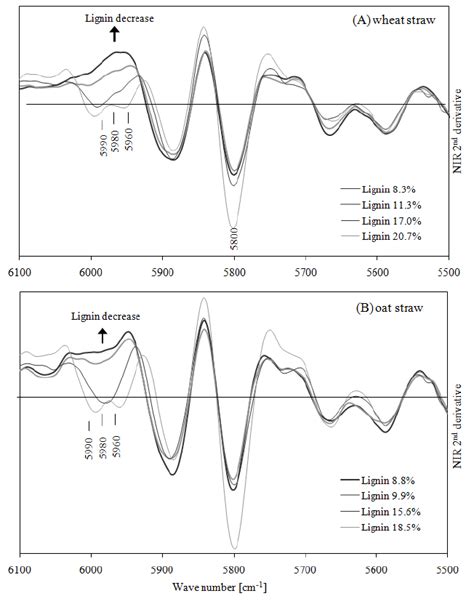 Second Derivatives Of The Nir Spectra Of Native And Delignified Wheat