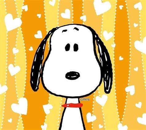 「snoopy」おしゃれまとめの人気アイデア｜pinterest｜monita Molina スヌーピー イラスト スヌーピー 愛 スヌーピー