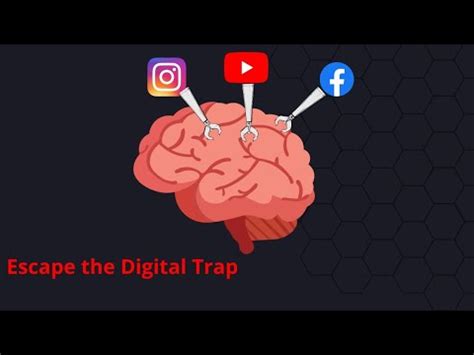 RESET YOUR BRAIN FOR SUCCESS DOPAMIN DETOX YouTube