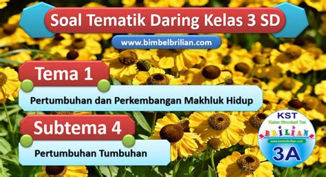 Soal Daring Kelas 3 Sd Tema 1 Subtema 4 Pertumbuhan Tumbuhan Bimbel Brilian