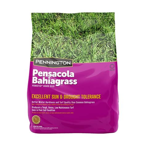 Pennington Pensacola Bahiagrass Grass Seed For Southern Lawns 2 Pound Bag