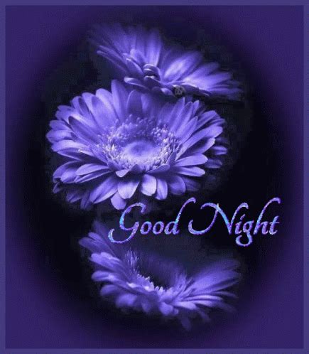 Good Night Flower Images Hd Infoupdate Org