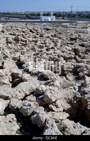 Open Grave At The Dilmun Era Saar Settlement Saar Kingdom Of Bahrain