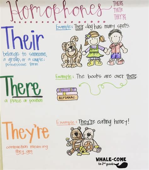 Homophones Anchor Chart There Their Theyre Homophones Classroom