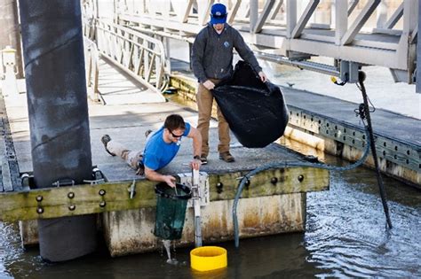 TDOT To Deploy Seabins To Filter Litter Debris From Tennessee River