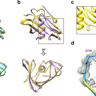 Ab Initio Modeling A Human Group B Rotavirus VP8 With AlphaFold2