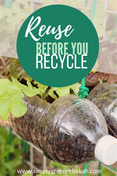 How Can You Reduce Or Reuse Your Waste Instead Of Recycling Learn