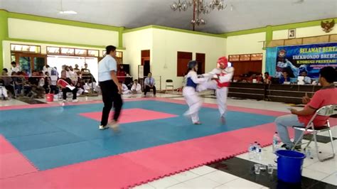 Taekwondo Final Putri Smp Kejurkab Brebes Biru Uus Husnul Khotimah