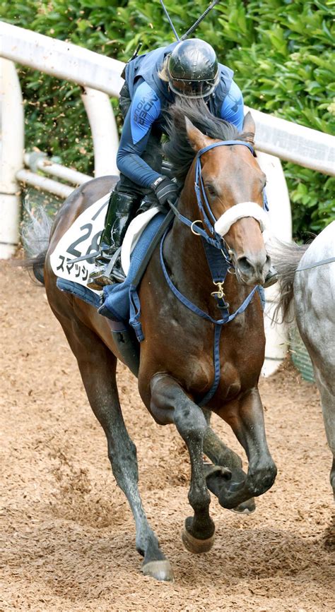 【岩田康誠の熱血！！競馬道】スマッシャーを復活へ導きたい 26日函館11rの大沼s Umatoku 馬トク