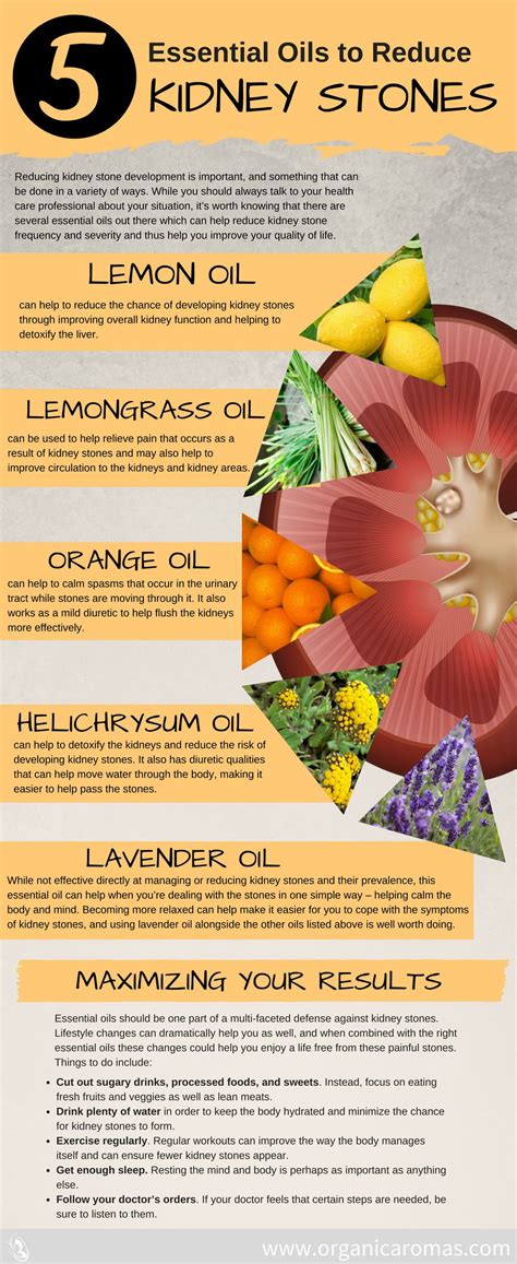 Top 5 Essential Oils To Reduce Kidney Stones Organic Aromas®