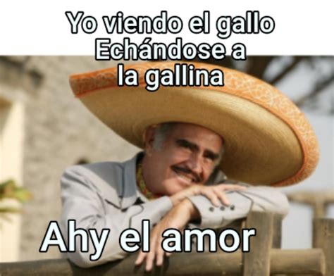 Yo Viendo El Gallo Ech Ndose A La Gallina Ahy El Amor Generador Memes