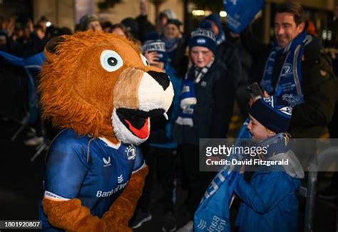 473 Eire Mascot Stock Photos High Res Pictures And Images Getty Images