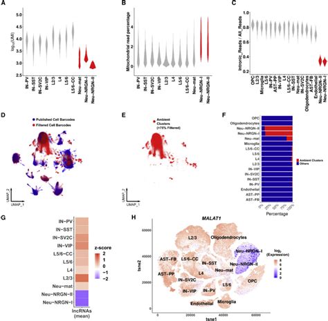 Neuronal Ambient Rna Contamination Causes Misinterpreted And Masked Cell Types In Brain Single