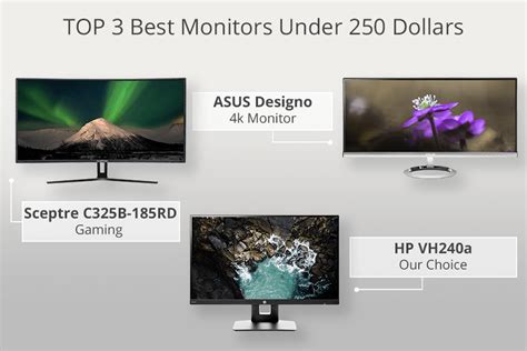 9 Best Monitors Under 250 In 2022