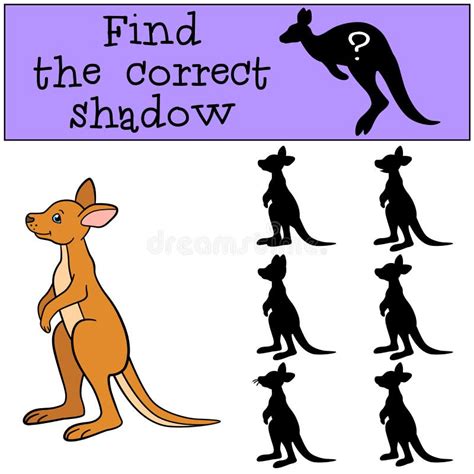 Kangaroo Shadow Stock Illustrations 296 Kangaroo Shadow Stock