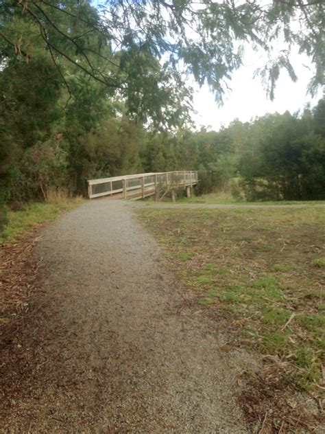 Tracks Trails And Coasts Near Melbourne Olnda Creek Wetland