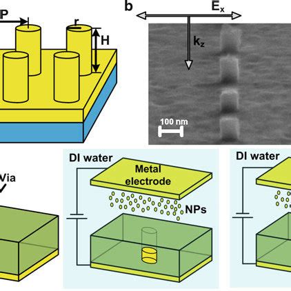 2 Schematic Of A Dual Beam FIB SEM Setup Illustrating A Vertical SEM