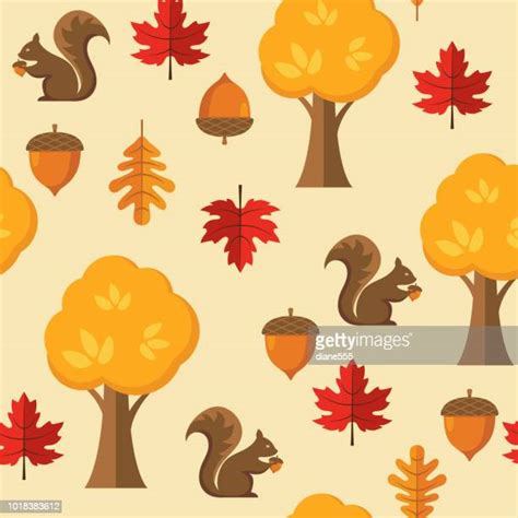 Squirrel Tree Drawing Photos and Premium High Res Pictures - Getty Images